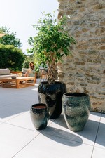 Dekokübel Blumentopf