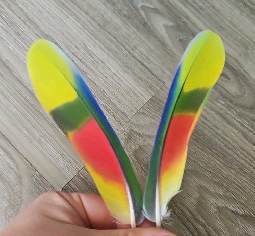 Bunte - 2, 💚💙💛❤