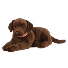 Chocolate Labrador HUND
