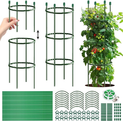 Multifunktionale tomaten - multifunktionale,