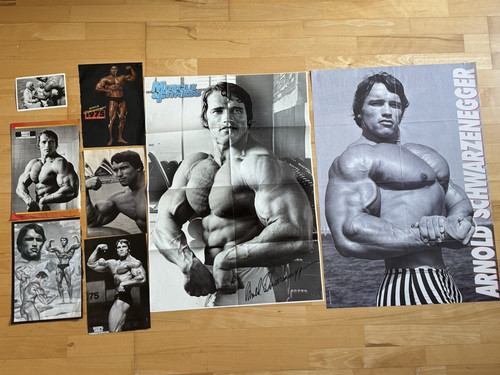 Arnold schwarzenegger - arnold,