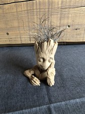 tillandsienhalter Topf