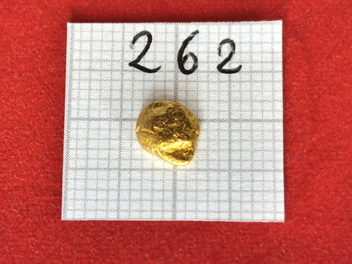 605 gramm goldnugget alaska - gramm,