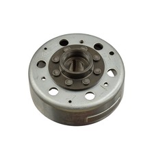 Piaggio Polrad (für: Piaggio