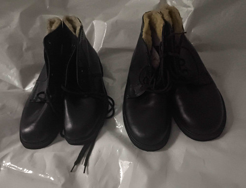Paar ddr schuhe dienstschuhe - schuhe,