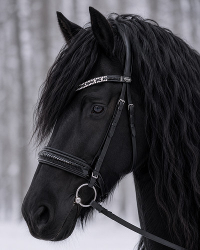 Leder trense schwarz dandy - leder,