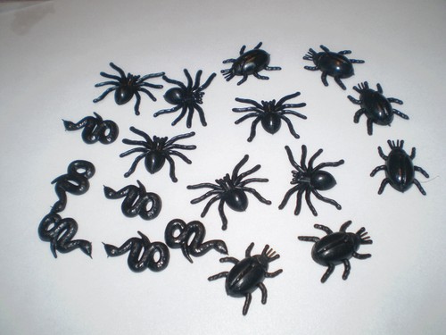 Dekoartikel spinne käfer - käfer, und