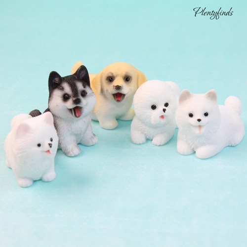 Miniatur hund welpe - hund,
