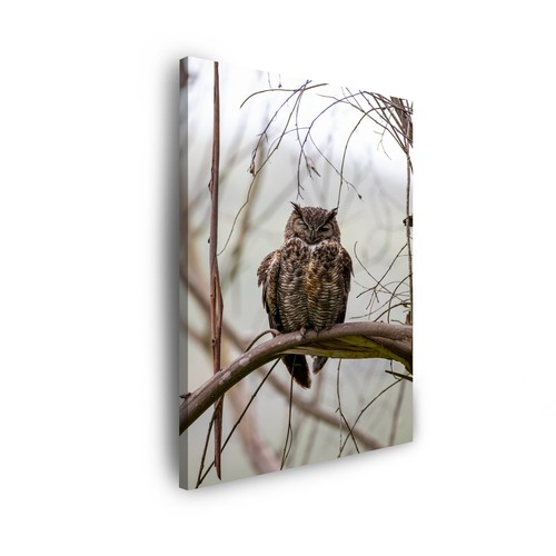 Leinwand bilder tiere - leinwand-bilder,