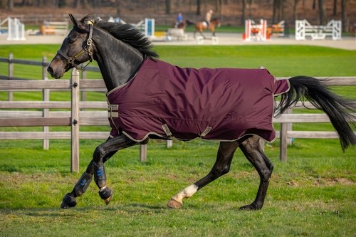 Horseware amigo hero 600d - amigo,