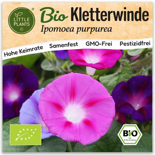 Kletterwinde samen - samen, (bio)