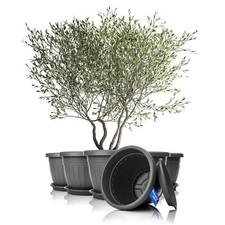 6x Blumentopf Balkonkasten