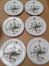 Villeroy Boch Botanica Kuchenteller Mit Wurzeln Sehr Gut  Preis Pro Stück