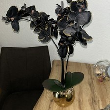 Orchidee schwarz, Kunststoff Topf