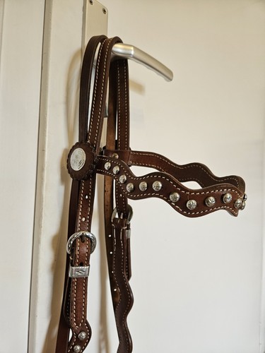 Westerntrense warmblut full - westerntrense,, warmblut,