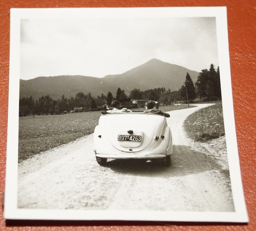 Altes privat foto 1950er - sw,
