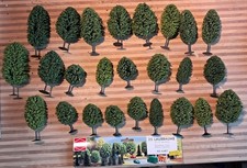 25 Laubbäume (6487) und