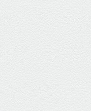 Erismann Vliestapete ModeRolle