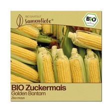 BIO Mais Samen Sorte Golden