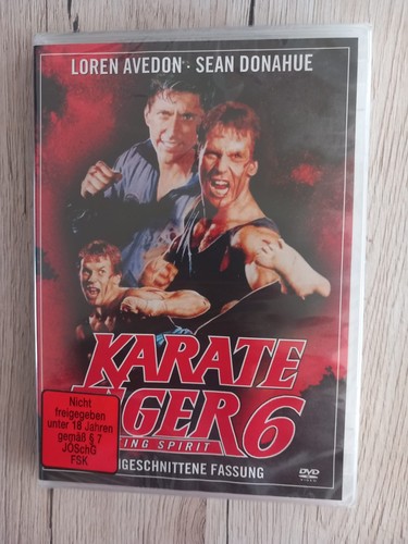 Karate tiger fighting - 6,