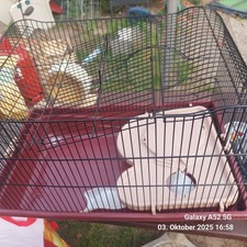 hamster /mäuse käfig mit zubehör