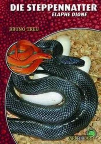 Die steppennatter bruno treu - die,