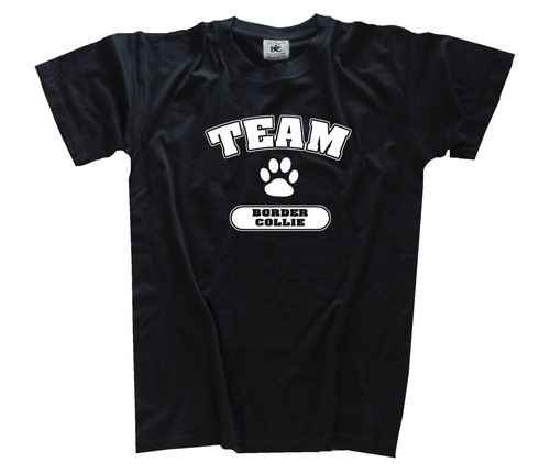 Team border collie hund dog - team,