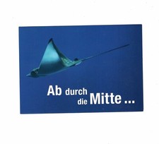 AK Ansichtskarte Meersmuseum Stralsund / Stachelrochen - 2016