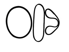 Wolf Scooter Keilriemen Satz