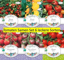 Samen Sets Saatgut Mischung