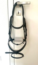 kieffer trensenzaum "Comfort Paris", Gr. Vollblut, engl. komb., inkl. Gurtzügel