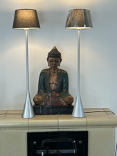 Ligne Roset Stehlampen (Paar)