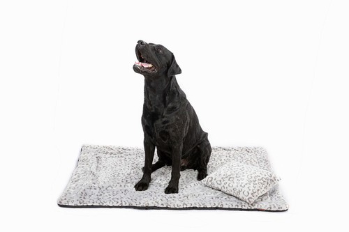 Hundedecke anti rutsch - hundedecke, anti-rutsch