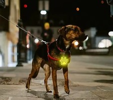 DogMa-TV 🐶 HUND SICHERHEIT