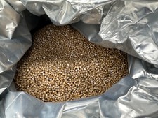 Kunststoffgranulat / Peek Granulat Viktrex 450G Natur 1kg Neu