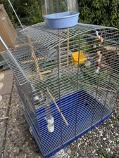 Vogelvoliere Vogelkäfig für Papageien mit vielen Spielzeugen ?