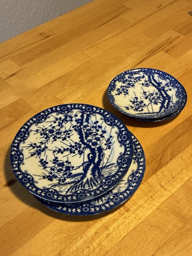 Japanische porzellanteller mit - japanische,