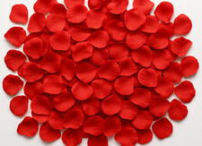 100 bis 1000x Rosenblätter |