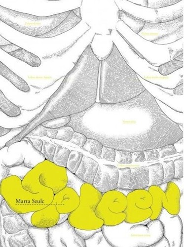 Spleen