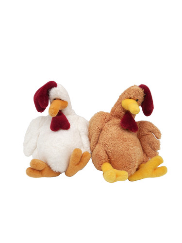 Nici huhn hahn henne - nici,