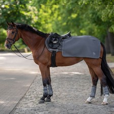 BUSSE Cinder Grey 155