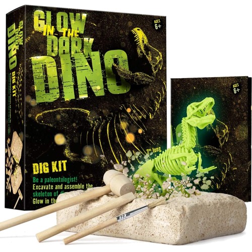 Dinosaurier skelett - dinosaurier,