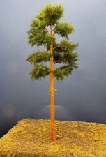 Diorama Modell Nadelbäume, 1