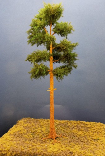 Diorama modell nadelbäume 1 - nadelbäume,,
