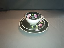 Lichte Porzellan Sammeltasse