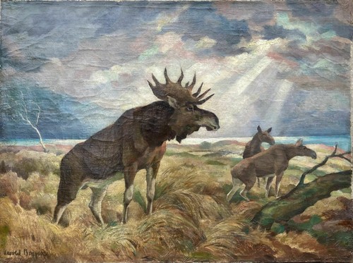 Harold bengen 1879 - bengen,