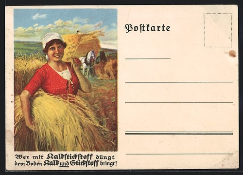 Bäuerin bei der heuernte - ak,