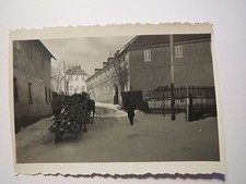 Im Winter - Pferde ziehen