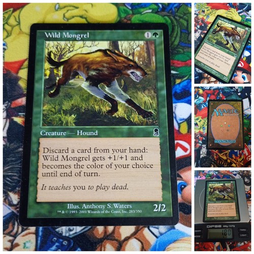 Mtg wild mongrel nm - ,