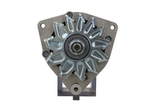 Mahle lichtmaschine fendt - mahle,